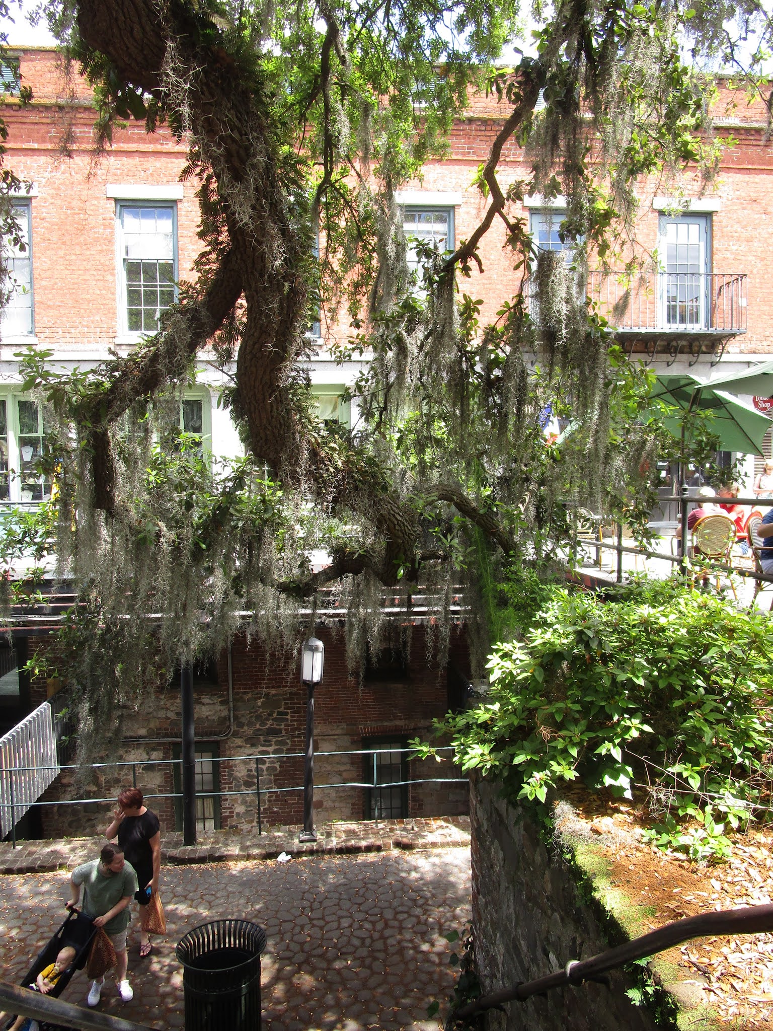 South Carolina Living Strolling the Riverfront of Savannah