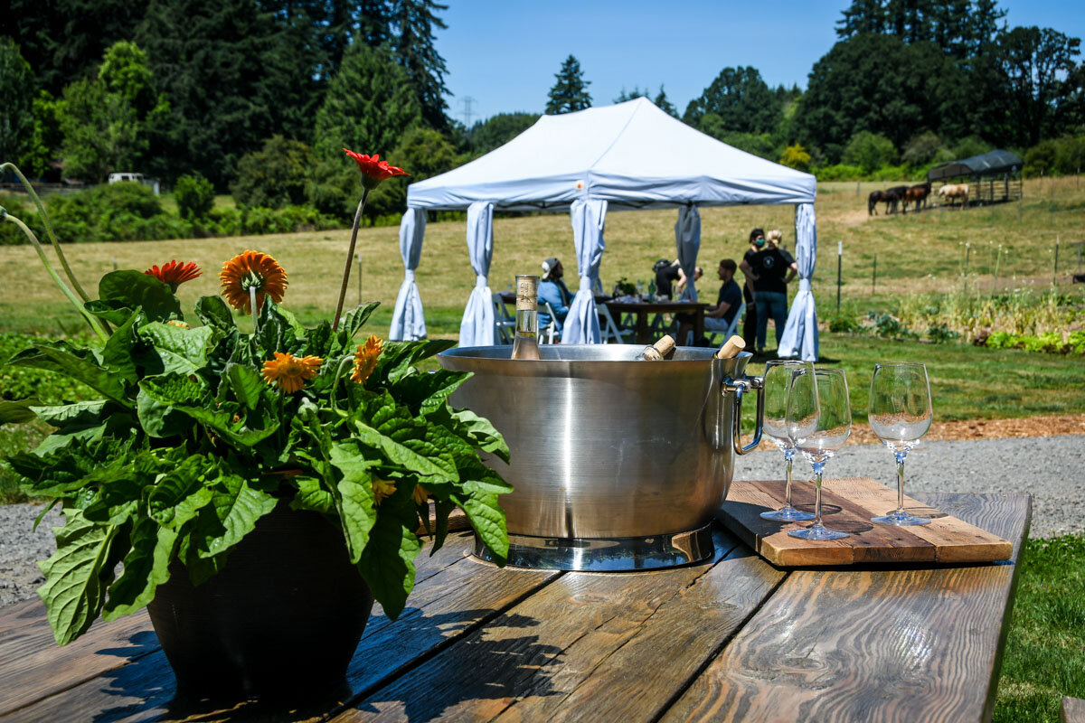 33 Weirdly Awesome Things to Do in Portland Two Wandering Soles