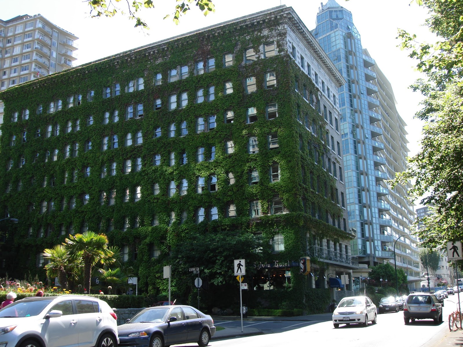 D.G. Hudson Rainforest Writing Vancouver The Sylvia Hotel and