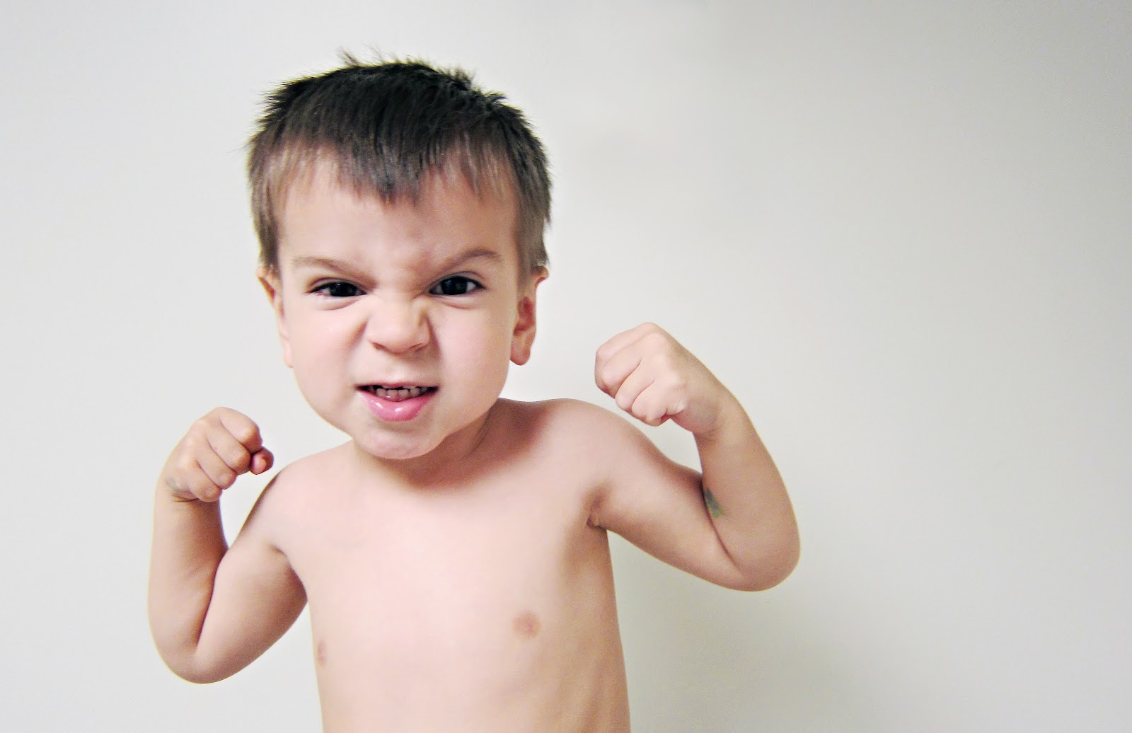 The Aprecios A 3 year old.