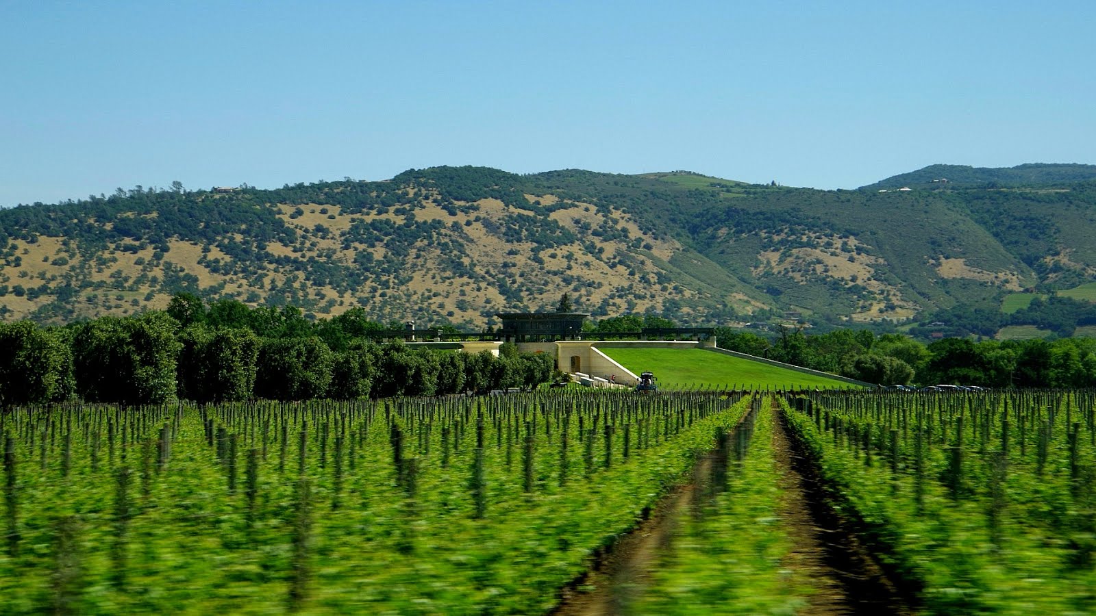 Napa Valley Wine Tour From San Francisco Tour Choices